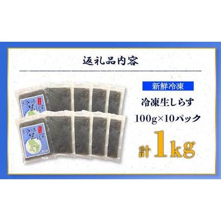 ふるさと納税 志布志湾のめぐみ　冷凍生しらす　10パック 鹿児島県大崎町