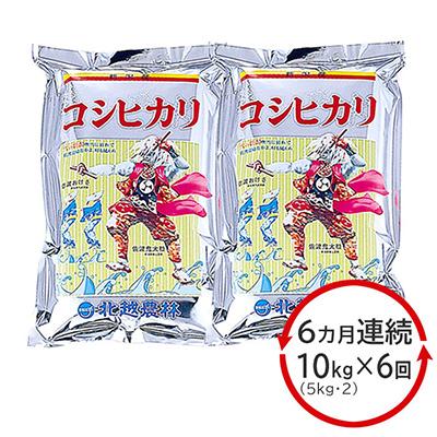 ふるさと納税 新潟県 新潟産コシヒカリ10kg(5Kg×2)全6回