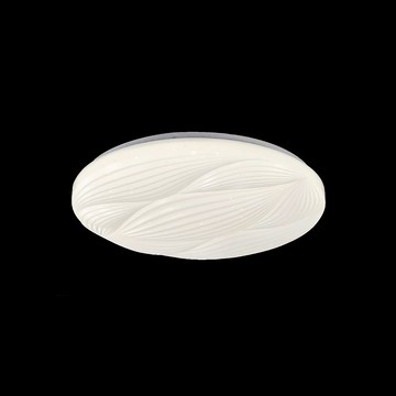 12W 單色吸頂燈 L01-1971B