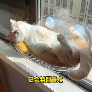 【店鋪熱銷】貓吊床貓咪曬太陽神器窗邊掛床玻璃貓架子窗戶吸盤貓窩太空艙睡覺 9OOM