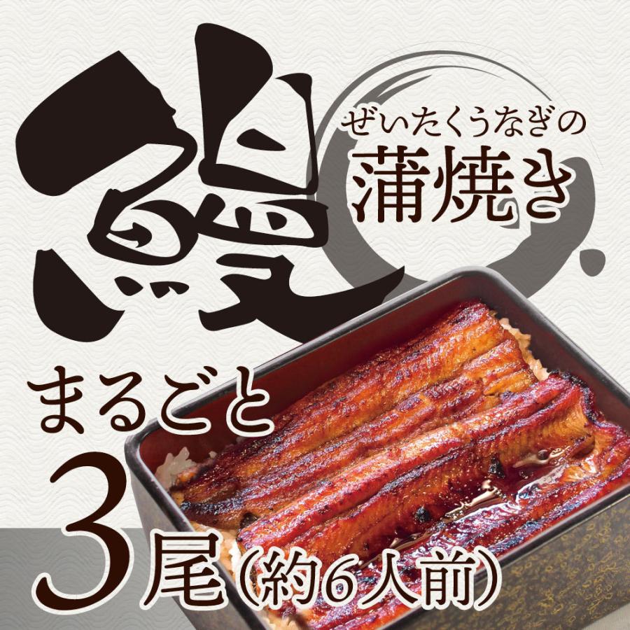 うなぎ蒲焼 3本入り（約200ｇ×3）たれ・山椒付き 鰻 かば焼き 土用 丑の日 湯煎 レンジOK 簡単解凍するだけ 惣菜 冷凍当日発送