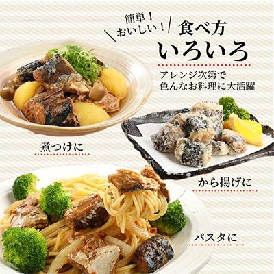 ふるさと納税 松浦市 さば味付缶セット(12缶)