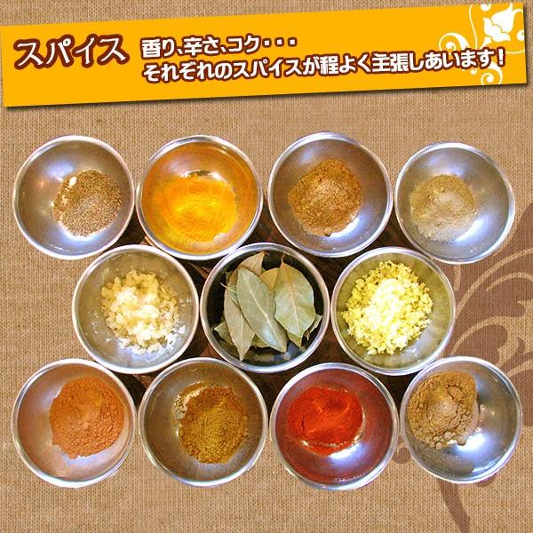 水郷どり スパイシーチキンカレー インド風カレー レトルト あすつく