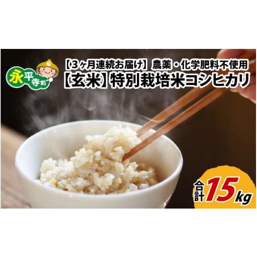 ふるさと納税 福井県 永平寺町  令和5年度産 永平寺町産 農薬不使用・化学肥料不使用 特別栽培米 コシヒカリ 5kg×3ヶ月…