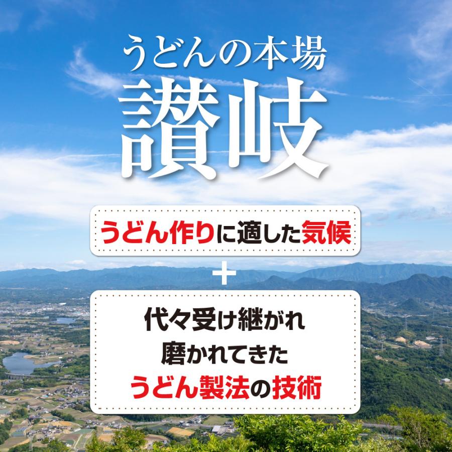 セール⇒698円 お試しセット うどん 讃岐うどん 香川県 つゆ付き 3人前 生麺 お取り寄せ 3食 3種類のつゆ 旨い もちもち お土産 送料無料 ポイント消化 送料無料