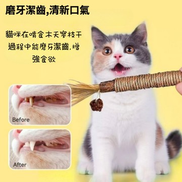 🐕‍🦺 隔日到貨 🐈‍⬛ 寵物玩具 寵物生日 木天蓼 蟲癭果 貓薄荷球 貓薄荷 木天蓼棒 貓草玩具 貓草球 貓咪磨牙