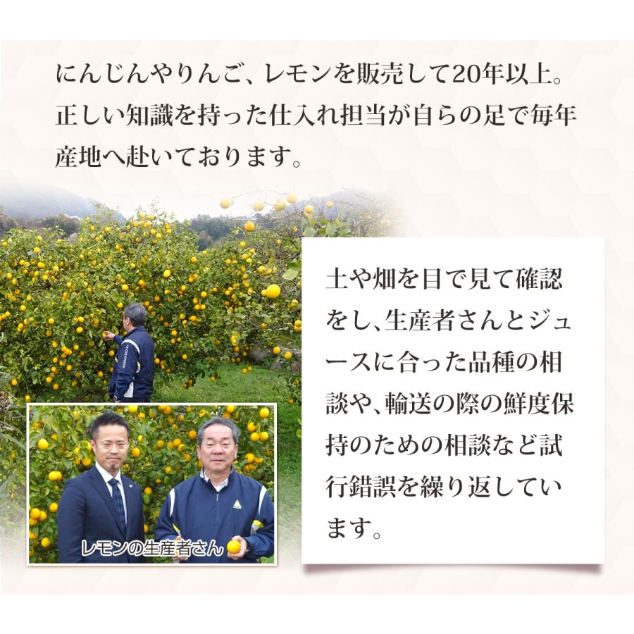 人参 無農薬にんじん 野菜セット 無農薬野菜 にんじんジュース ジュース用 10kg＋レモン1kg　ゲルソン療法にも最適 訳あり