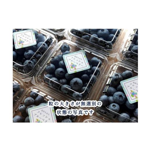 ふるさと納税 石川県 金沢市 樹上完熟フレッシュブルーベリー （無農薬・殺虫剤不使用） 125ｇ×4