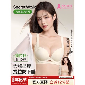 SecretWorld內衣女大胸顯小提拉收副乳防下垂舒適無痕新款文胸罩