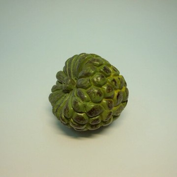 《食物模型》釋迦(大) 水果模型 - B1055