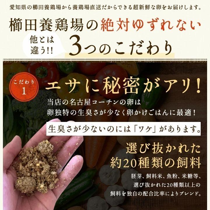 櫛田養鶏場 くしたま 10個入 (白卵)