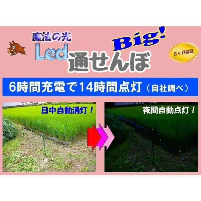 魔法の光Led通せんぼBig　イノシシ防止！光を認識して近づかない！ソーラー充電で電源不要！６ヶ月保証付き