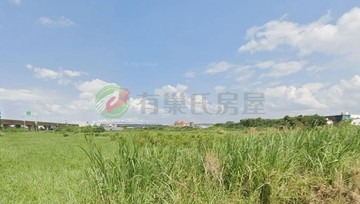 大園區航空城市府一期農地888｜桃園市大園區沙崙