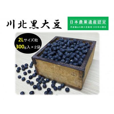 ふるさと納税 丹波篠山市 川北黒大豆　2Lサイズ粒　300g×2袋