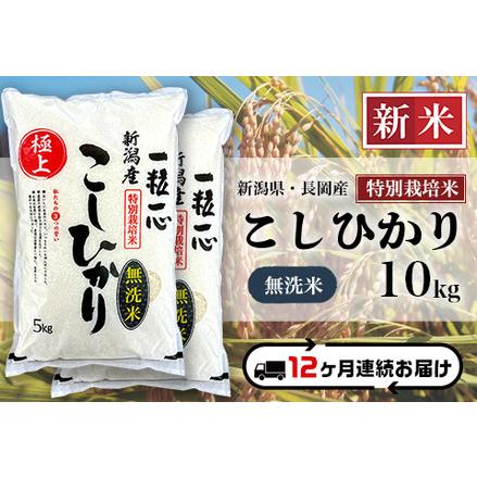 ふるさと納税 48-M10Z新潟県長岡産特別栽培米コシヒカリ10kg 新潟県長岡市