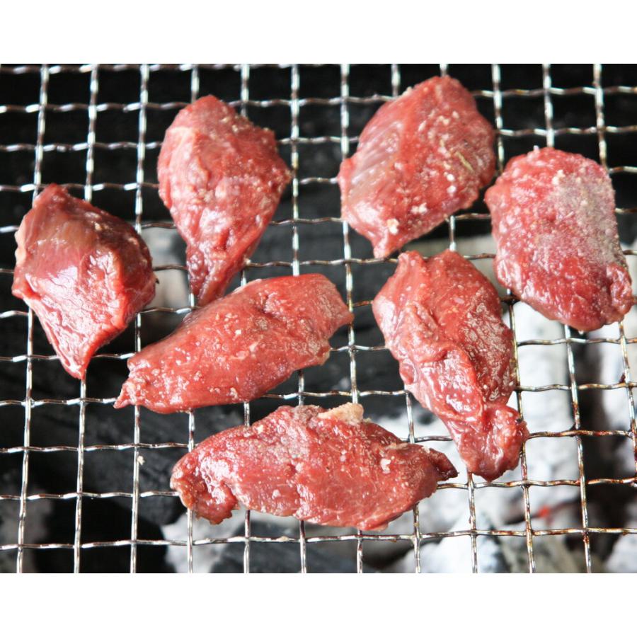 エゾ鹿肉 ヒレ肉 500g (ブロック)