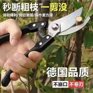 台灣24h🐑SK5鋼樹枝剪刀 粗枝園林剪 修剪果樹 修枝剪 多用途花園剪刀 樹枝 花卉 花剪 園藝剪 花藝剪刀 園藝剪刀