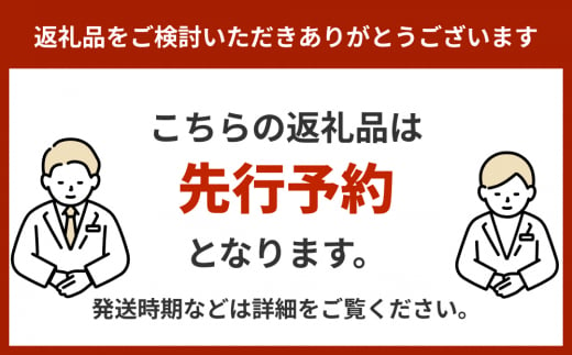 仲村農園の家庭用アップルマンゴー約1Kg  マンゴー 果物類 マンゴー フルーツ おきなわ マンゴー 南国 完熟 沖縄産 マンゴー  トロピカル マンゴー 沖縄 アップル マンゴー