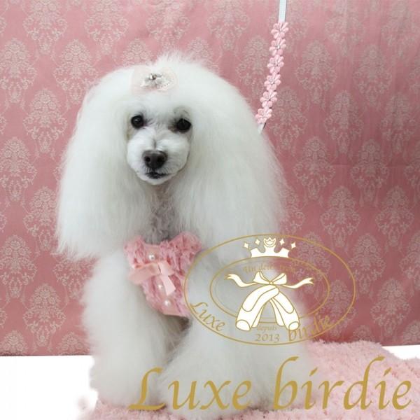 Luxe birdieリュクスバーディ ブランチュチュ SS - 犬服