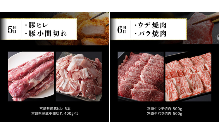 ※令和6年2月より発送開始※宮崎牛と宮崎県産豚６ヶ月定期便Ｃ [G0686]