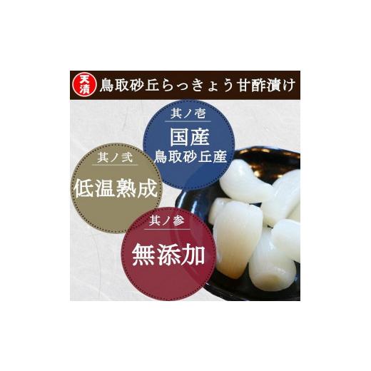 ふるさと納税 愛知県 稲沢市 ふぞろいらっきょう甘酢漬け 190gｘ10袋 