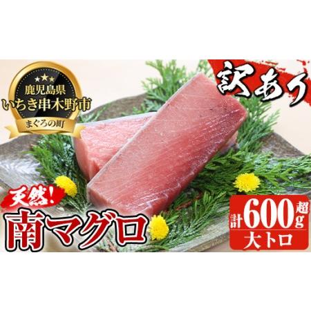 ふるさと納税 天然南マグロ 大トロ600g超！（南マグロ大トロ3柵 計600g以上）訳ありのため数量限定でご案内 訳アリ マグロ 鹿児島県いちき串木野市