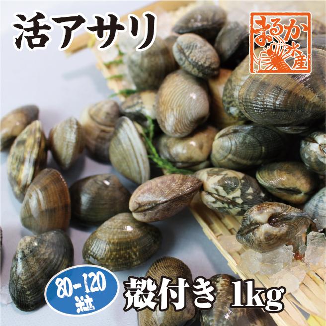 活あさり貝　中国産　[あさり貝]　1kｇ　約80粒〜120粒　LINEショッピング