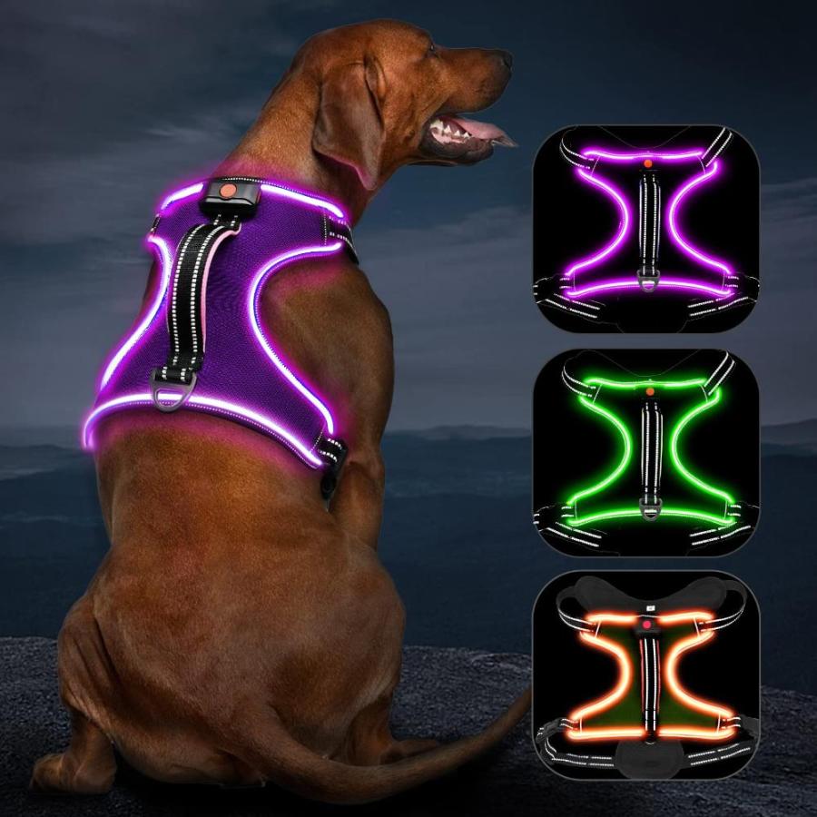 5280 dog step outlet in harness