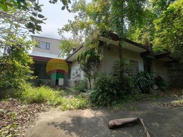 新埔文山國小獨棟大地坪透天｜新竹縣新埔鎮國校街