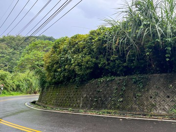 南投集集吉祥地｜南投縣集集鎮集集段雞籠山小段