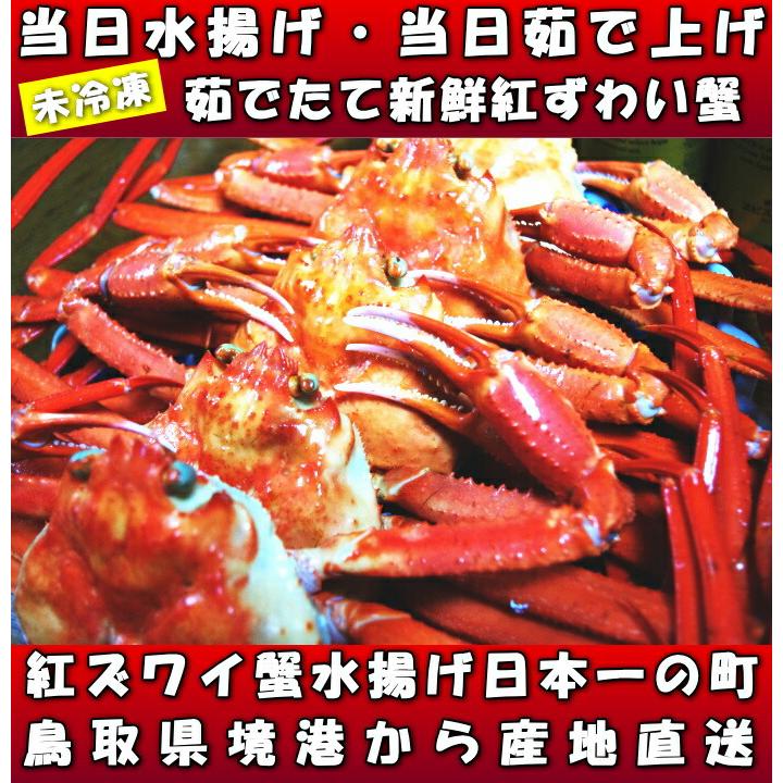 カニ 紅ずわいがに 未冷凍 400〜490g×5尾 A級品 水揚げ当日出荷 新鮮 ボイル 蟹 送料無料 鳥取 境港直送 かに 姿 紅ずわい蟹  ギフト