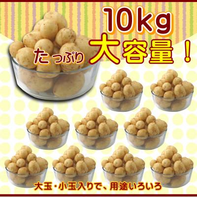 ふるさと納税 松浦市 訳あり!ご家庭用に大活躍!農家直送の新じゃが　10kg