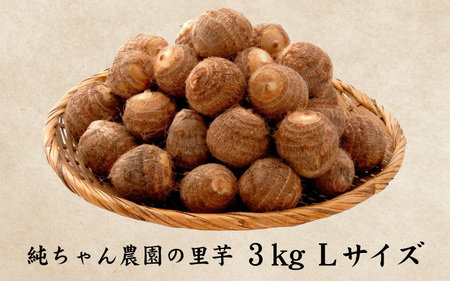 越前大野産 「純ちゃん農園の里芋 3kg」サイズL寸