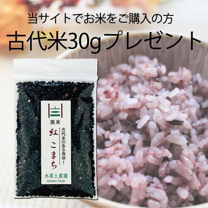 水菜土農園精米令和4年産 秋田県産 あきたこまち 20kg (5kg×4袋) 古代米お試し袋付き