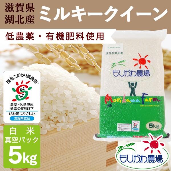 新米 滋賀県産 ミルキークイーン 真空パック白米5kg 令和５年産