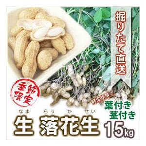 2024 予約 生落花生 落花生 生 山形産 品種おまかせ 15kg ５ｋｇ 3個 殻付き 葉付 おおまさり 郷の香 送料無料 ピーナッツ 生 通販