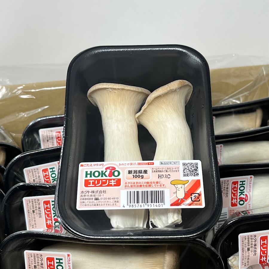 エリンギ 長野 新潟県産 100ｇ　パック エリンギ茸 HOKUTO