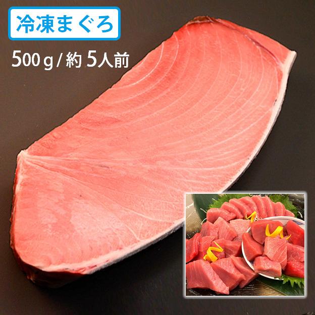 送料無料　約500g(5人前)　冷凍・本まぐろ（中とろ）　マグロ専門卸会社直送