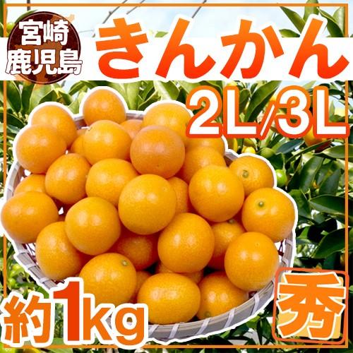 宮崎・鹿児島県 ”きんかん” 秀品 2L〜3L 約1kg 金柑