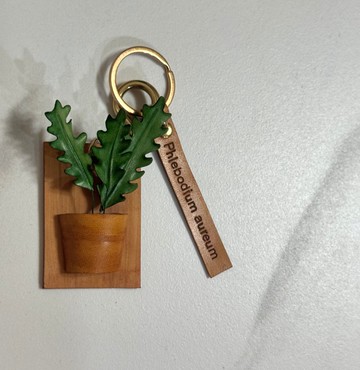 羽葉藍星蕨_觀葉皮革吊飾 / 送禮