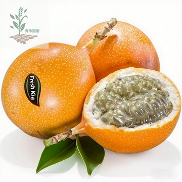 青禾園藝（熱情百香果種子）BXG-4 橙皮超甜高產耐高溫熱帶水果之王雞蛋果新手四季播種爬藤水果種子#台灣自留種