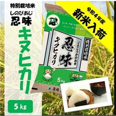 滋賀県産近江米　JAこうか　特別栽培米　忍味　キヌヒカリ5kg　お米　白米