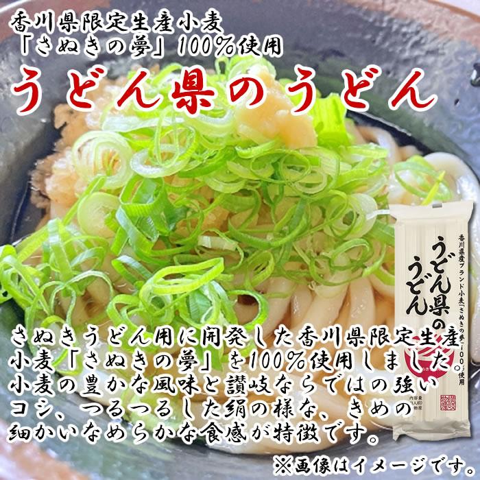 関西風おいしいうどんだし 10人前＆うどん県のうどん 乾麺 6人前 詰め合わせセット 讃岐うどん