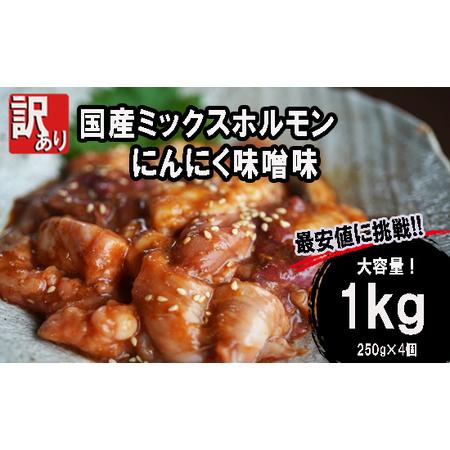 ふるさと納税 ホルモン焼き 国産牛 ミックスホルモン 1kg (250g×4) ホルモン 焼肉 にんにく味噌味 京都府舞鶴市