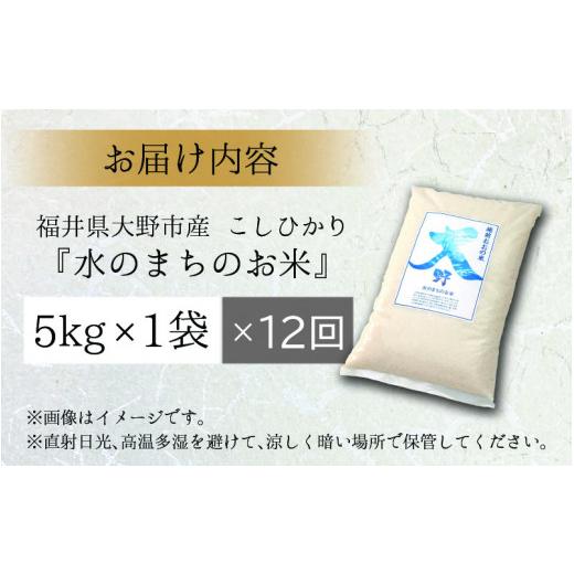 ふるさと納税 福井県 大野市 こしひかり 5kg×12回 計60kg「エコファーマー米」水のまちのお米