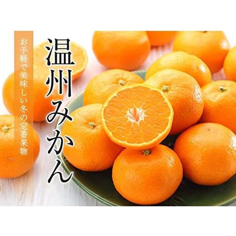 お歳暮 みかん 温州みかん 産地厳選 秀品 2L?2Sサイズ 2.5kg 蜜柑 ミカン ギフト お取り寄せ