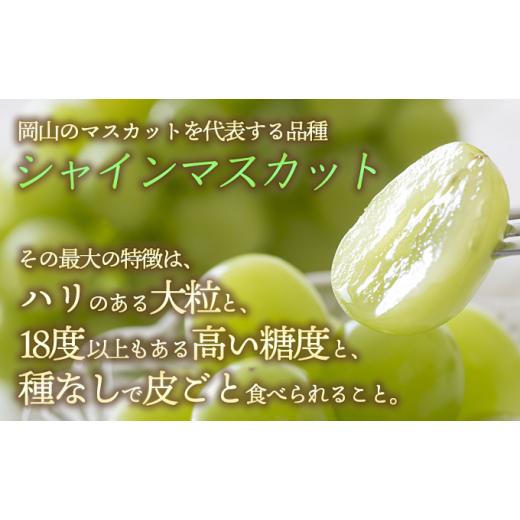 ふるさと納税 岡山県 赤磐市 ぶどう 2024年 先行予約 シャイン マスカット 3〜4房 約2.0〜2.5kg 秀品 ブドウ 葡萄 岡山 赤磐市産 国産 フルーツ 果物 ギフト