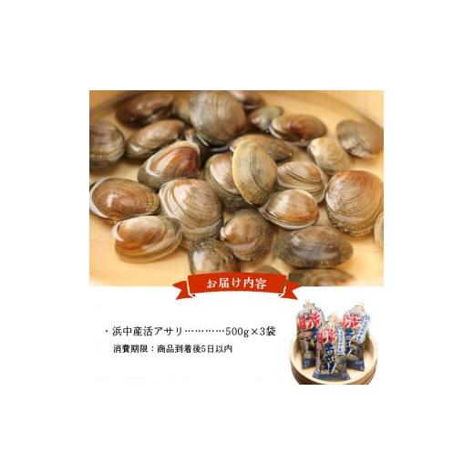 ふるさと納税 北海道 浜中町 浜中産　活アサリ500g×3袋セット_230106