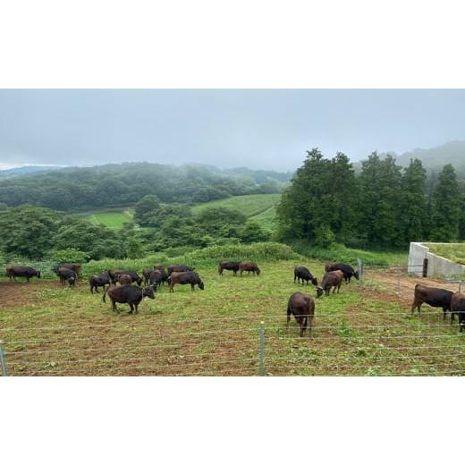 ふるさと納税 岡山県 里庄町 美星和牛 肩ローススライス 約500g