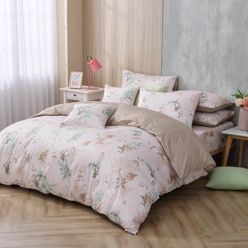 雙人薄被套特大床包組/美國棉授權品牌 / 小松嘉比 [鴻宇] 台灣製 - 2310